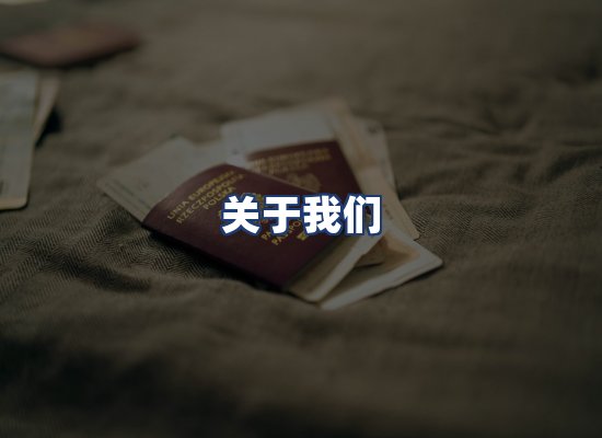 关于我们